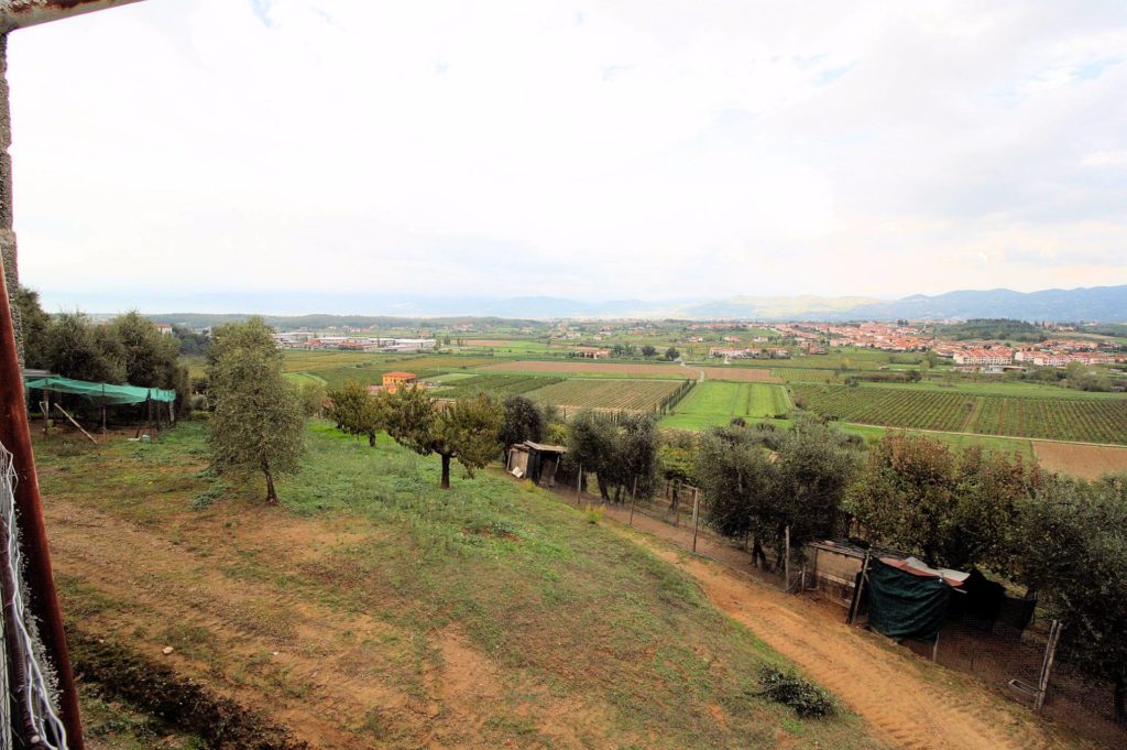 564-Azienda agricola produzione vino ed olio-Cerreto Guidi-16 Agenzia Immobiliare ASIP