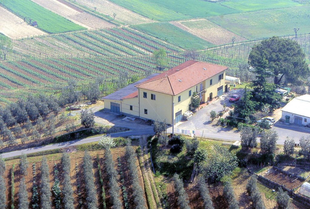 564-Azienda agricola produzione vino ed olio-Cerreto Guidi-2 Agenzia Immobiliare ASIP
