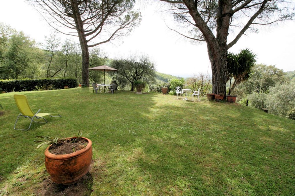 806-Podere con vista panoramica-Monsummano Terme-3 Agenzia Immobiliare ASIP