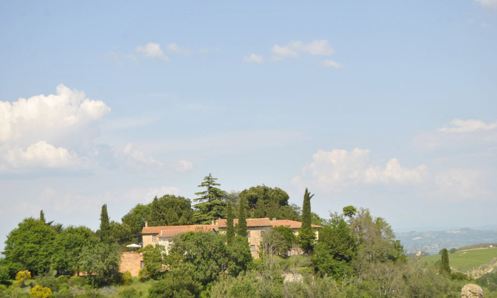 939-Azienda vitivinicola con attivita' agrituristica-Montaione-2 Agenzia Immobiliare ASIP
