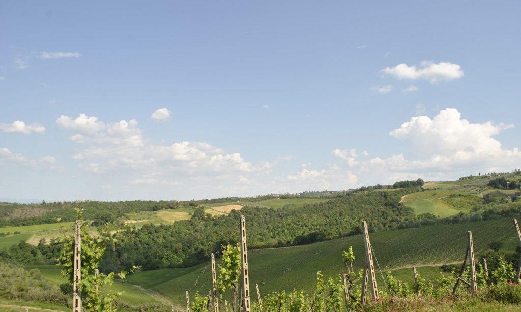 939-Azienda vitivinicola con attivita' agrituristica-Montaione-9 Agenzia Immobiliare ASIP