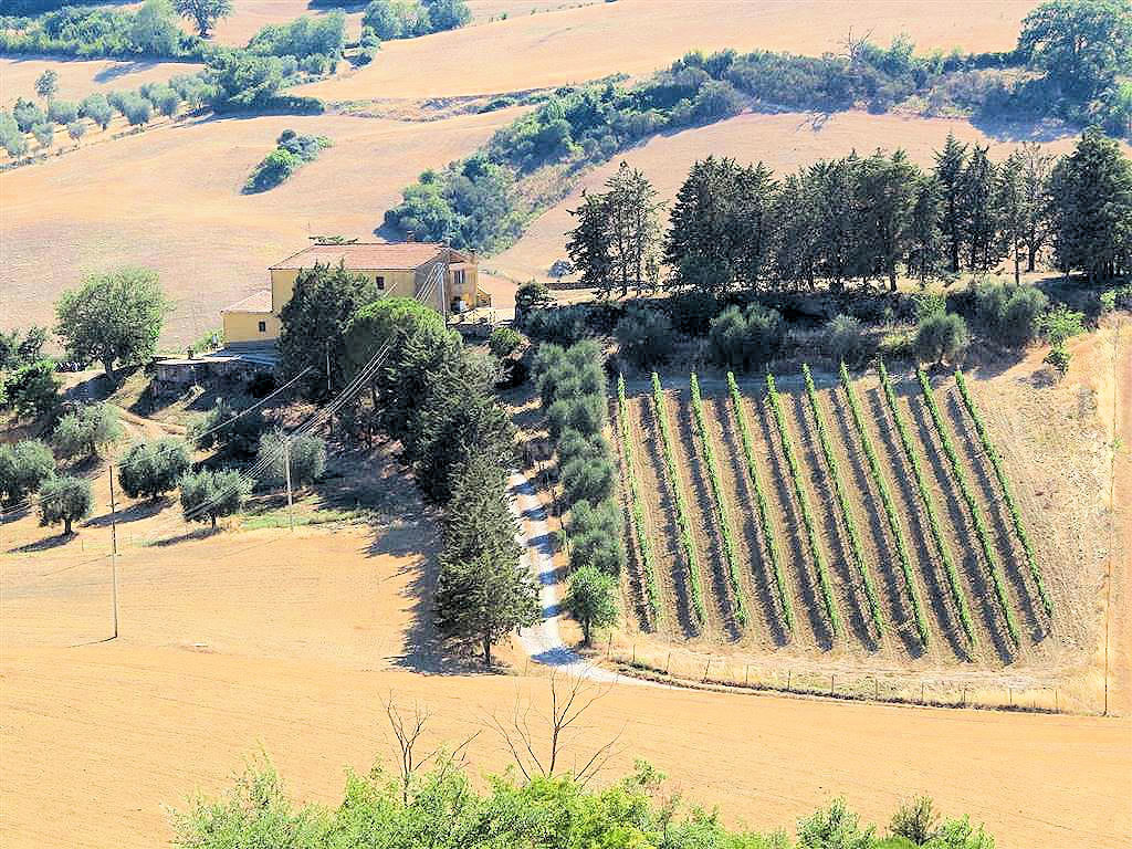706-Azienda agricola in posizione collinare e panoramica-Magliano in Toscana-3 Agenzia Immobiliare ASIP