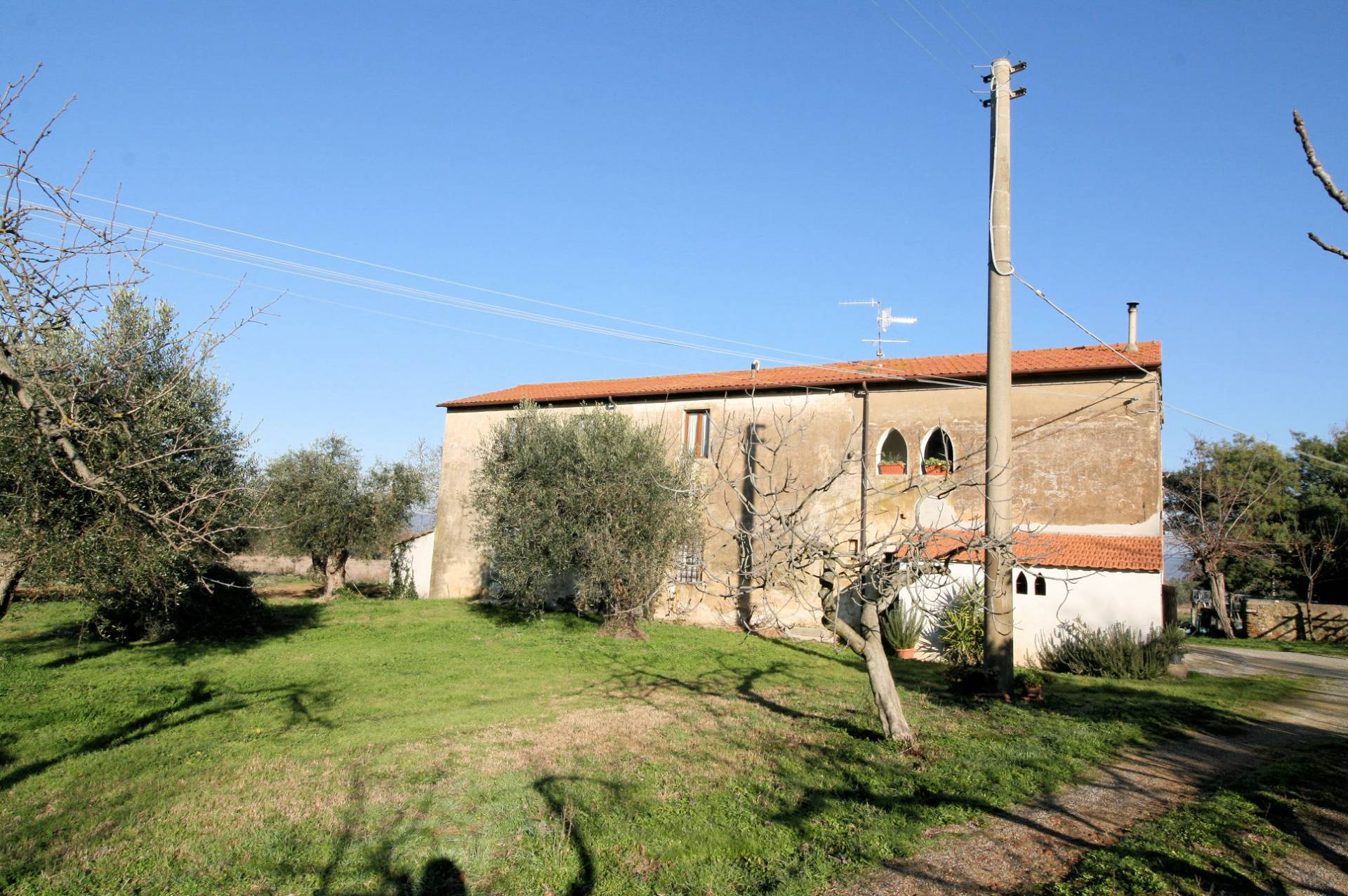 1132-Podere in Maremma-Scarlino-1 Agenzia Immobiliare ASIP