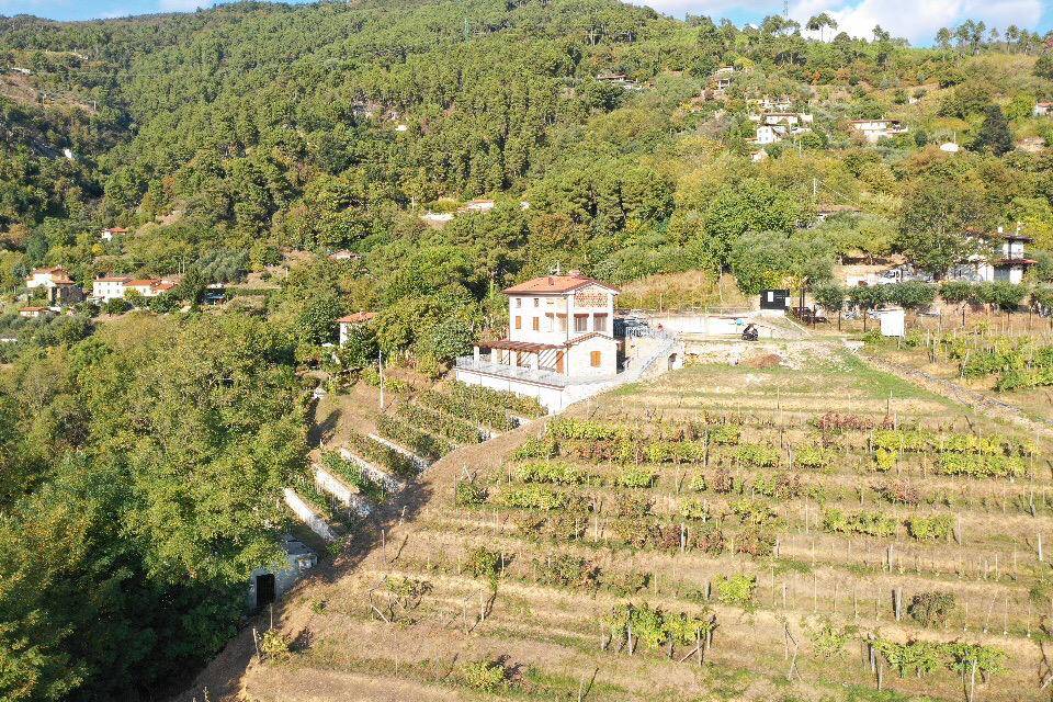 1233-Villa unifamiliare con ampio giardino e vista mare-Pietrasanta-4 Agenzia Immobiliare ASIP