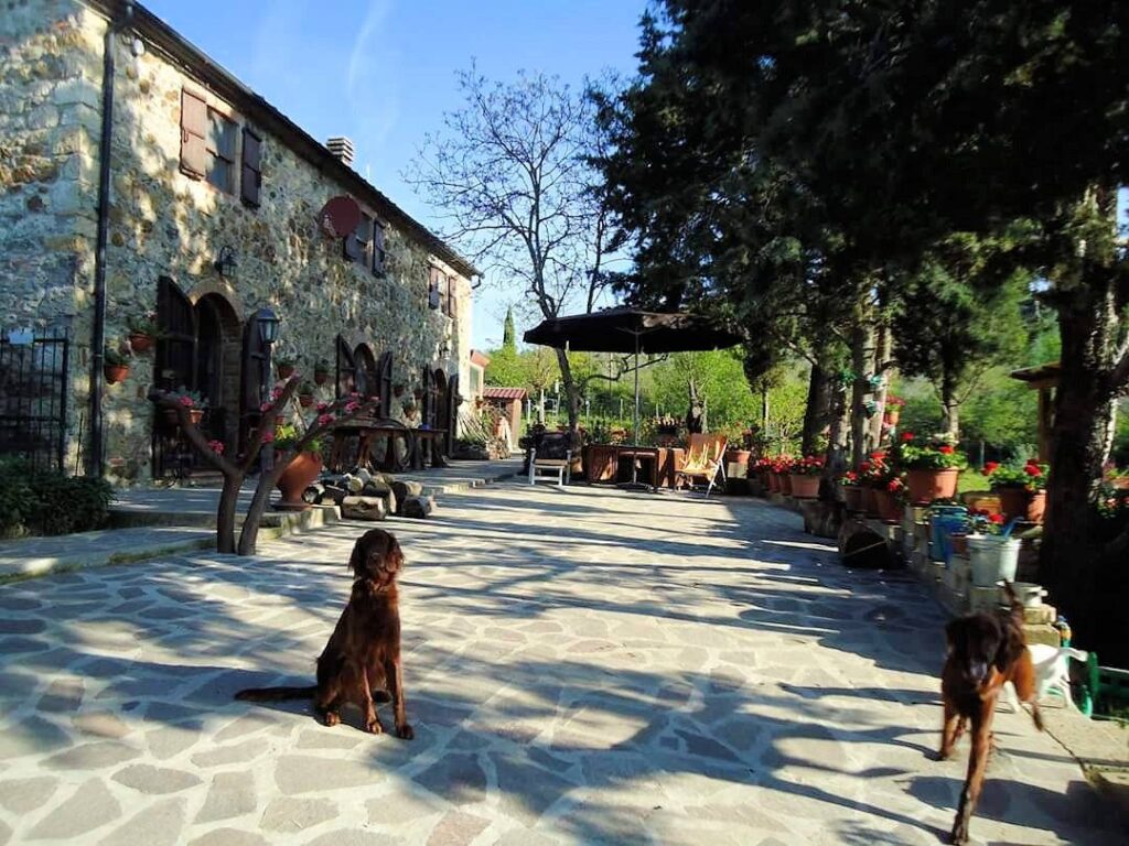 1262-Rustico in stile Toscano con terreno in splendida posizione-Monterotondo Marittimo-5 Agenzia Immobiliare ASIP