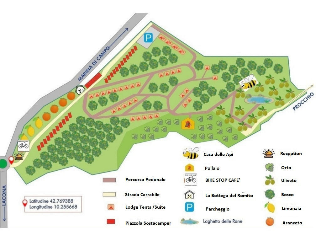 1063 Azienda agricola con la possibilità di realizzare un Agriglamping Campo nell'Elba planimetria_19 Agenzia Immobiliare ASIP