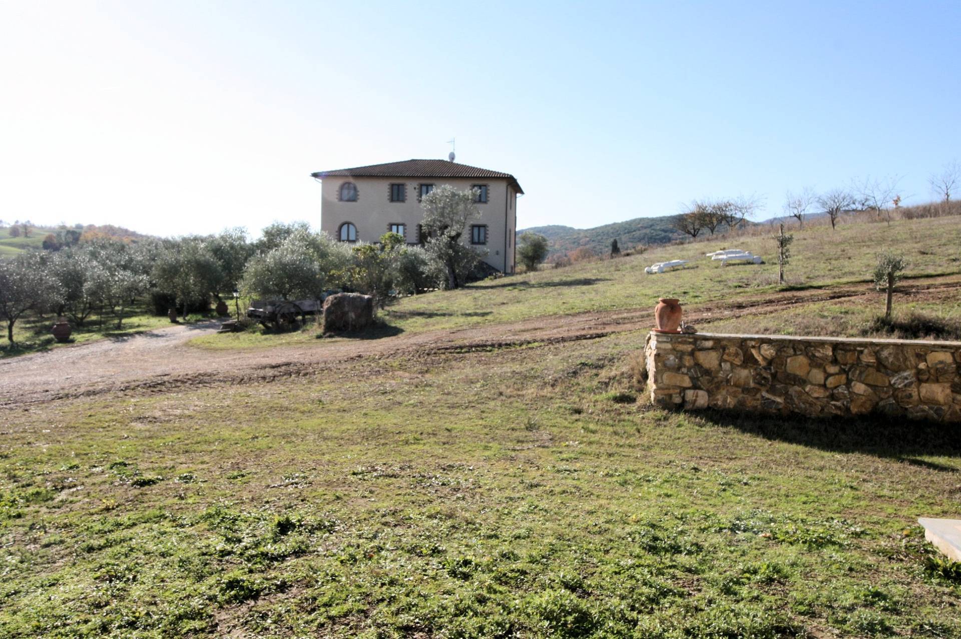1300-Azienda agricola con agriturismo-Civitella Paganico-1 Agenzia Immobiliare ASIP