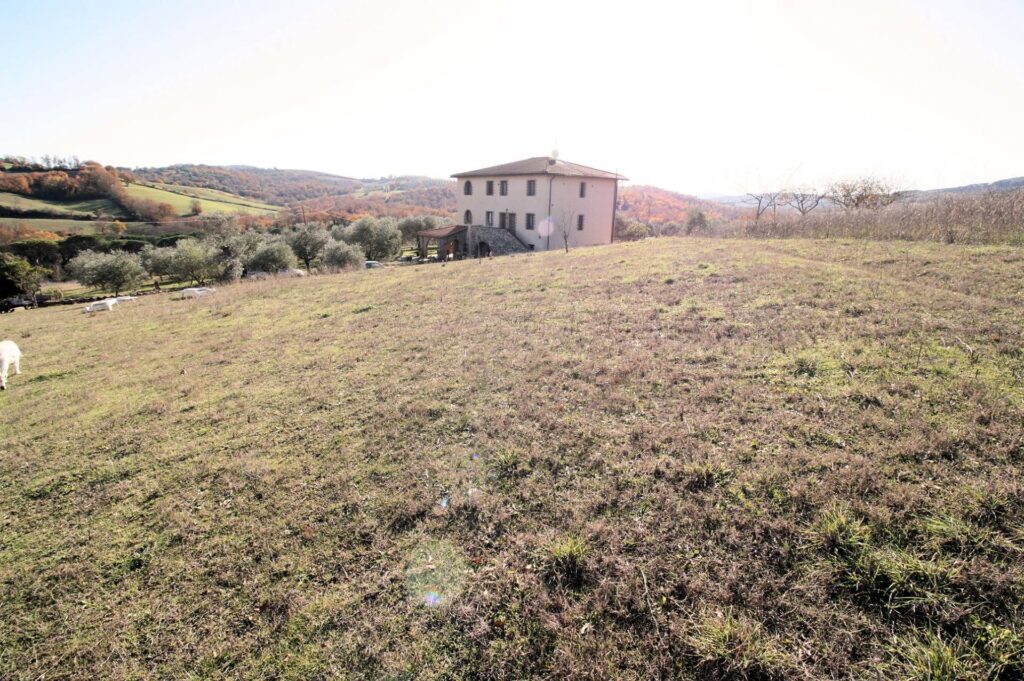 1300-Azienda agricola con agriturismo-Civitella Paganico-6 Agenzia Immobiliare ASIP