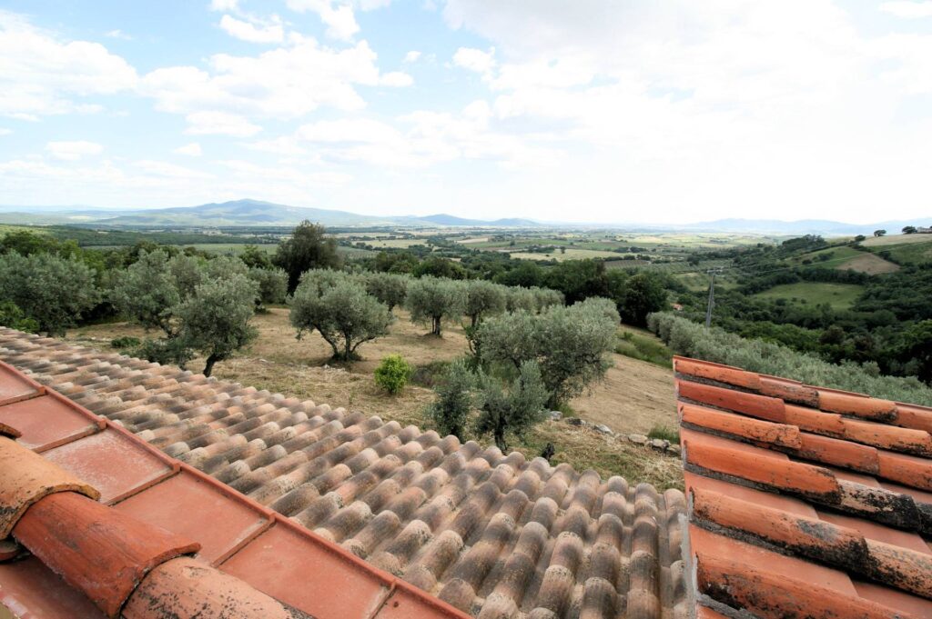 1254-Rustico in stile Toscano con terreno e vista panoramica-Roccastrada-7 Agenzia Immobiliare ASIP