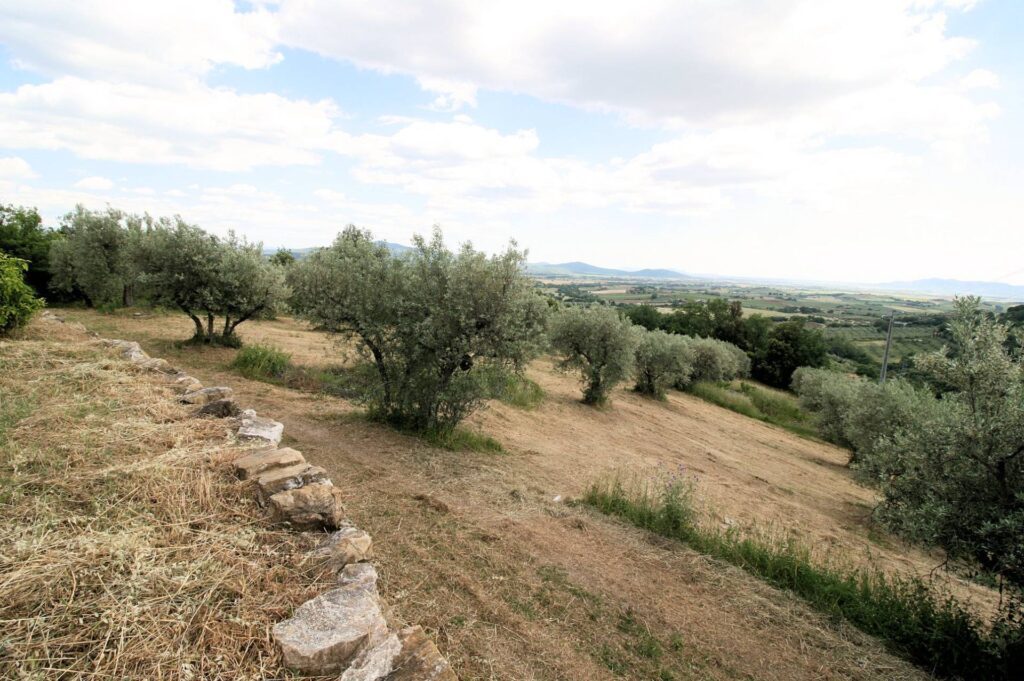 1254-Rustico in stile Toscano con terreno e vista panoramica-Roccastrada-18 Agenzia Immobiliare ASIP