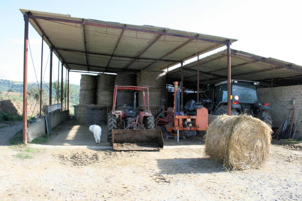 1318-Azienda agricola in posizione collinare e panoramica-Magliano in Toscana-7 Agenzia Immobiliare ASIP
