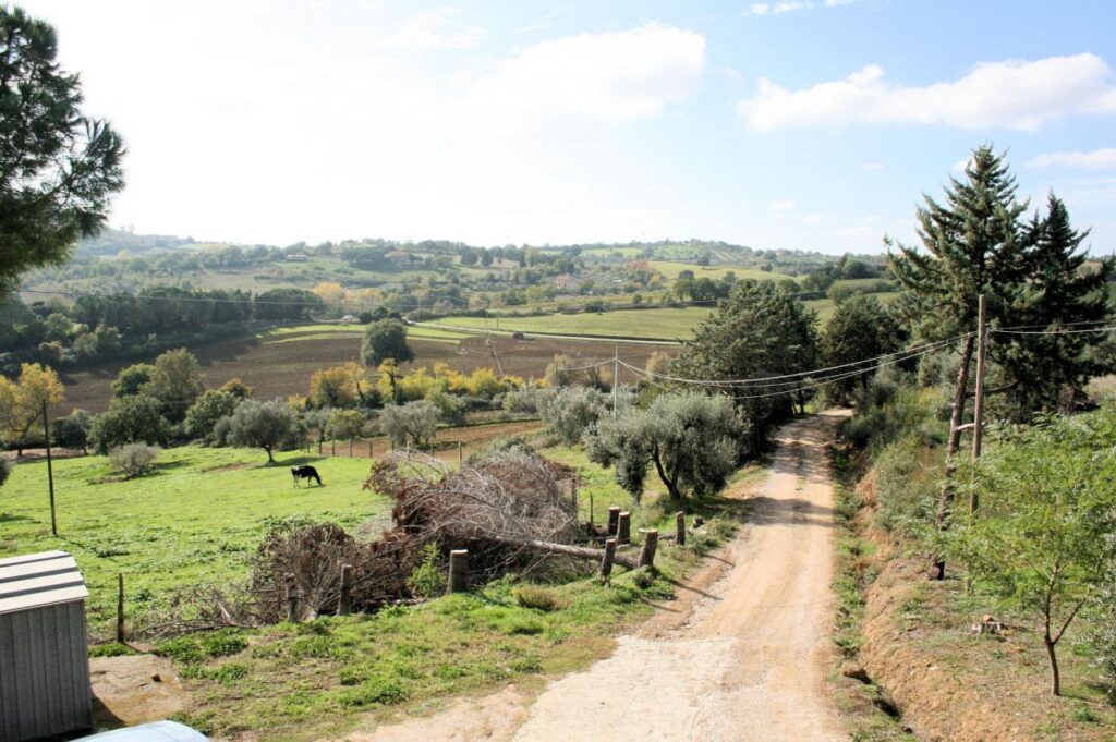 1318-Azienda agricola in posizione collinare e panoramica-Magliano in Toscana-6 Agenzia Immobiliare ASIP