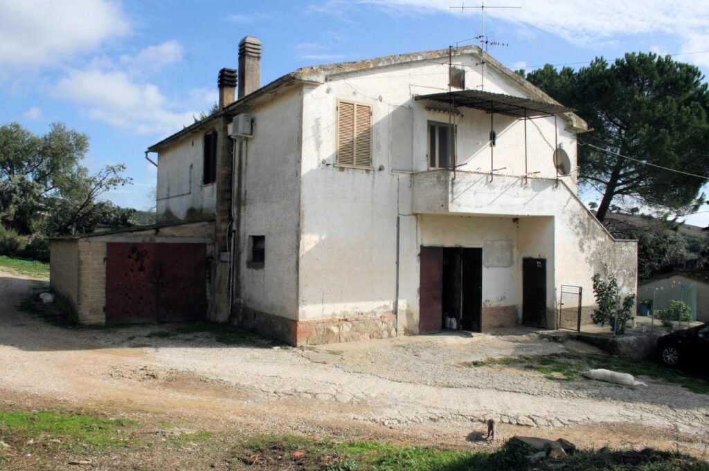 1318-Azienda agricola in posizione collinare e panoramica-Magliano in Toscana-5 Agenzia Immobiliare ASIP