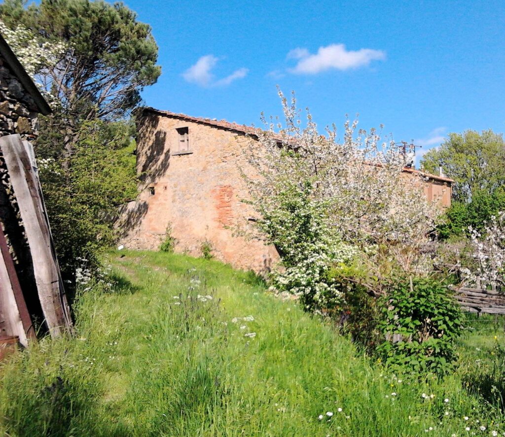774-Casale in pietra con vista panoramica-Montieri-4 Agenzia Immobiliare ASIP