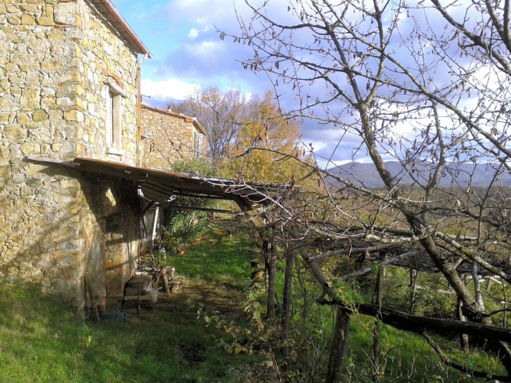 774-Casale in pietra con vista panoramica-Montieri-3 Agenzia Immobiliare ASIP