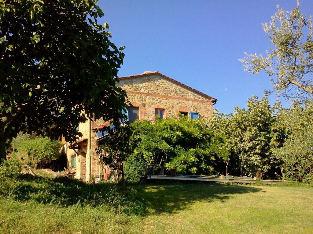 1353-Azienda agricola in posizione panoramica-Radicondoli-6 Agenzia Immobiliare ASIP