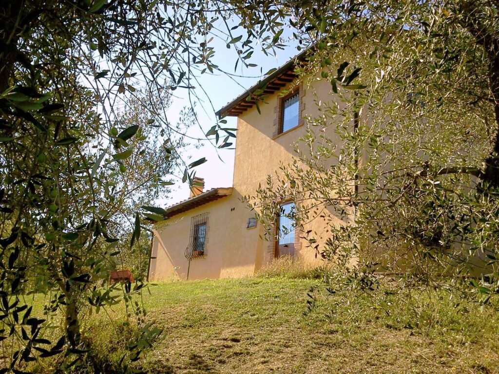 1353-Azienda agricola in posizione panoramica-Radicondoli-11 Agenzia Immobiliare ASIP