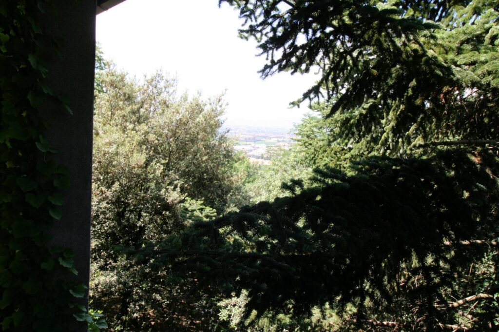 1037-Villa unifamiliare con ampio giardino-Montemurlo-18 Agenzia Immobiliare ASIP
