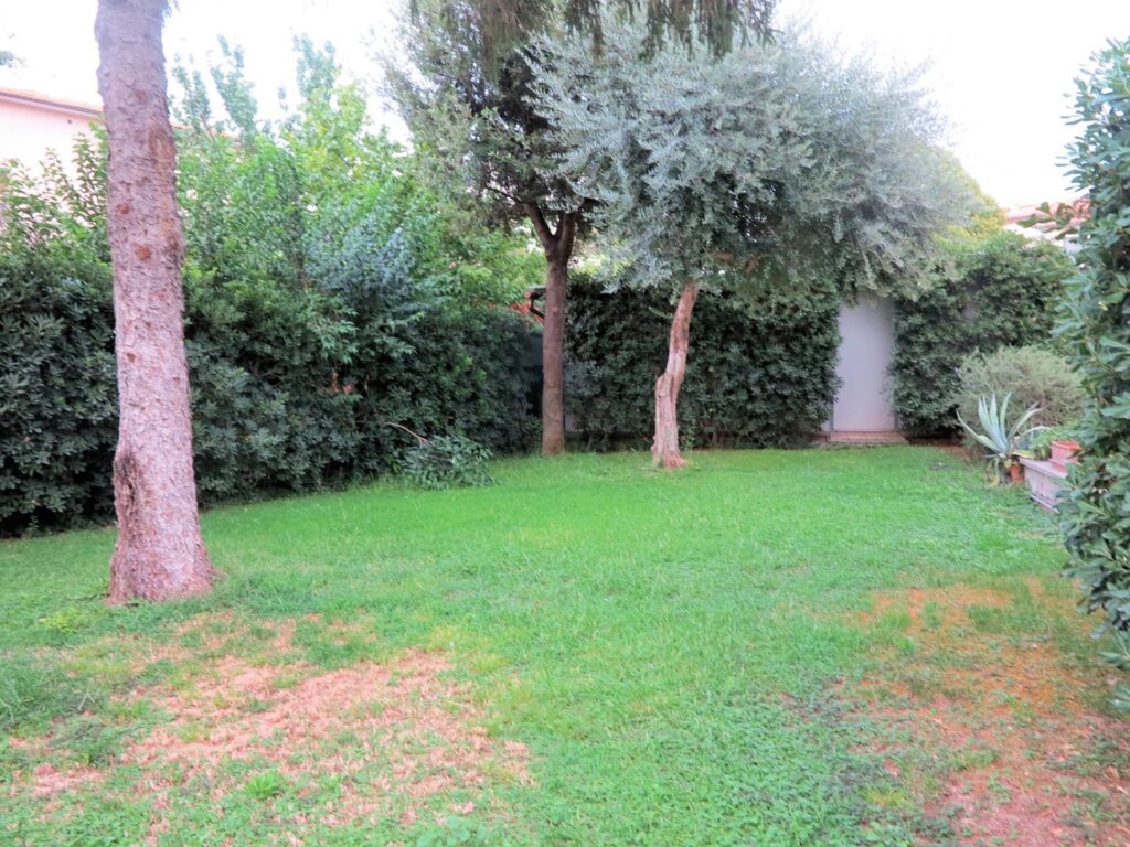 1154-Villa unifamiliare di ampia superficie con giardino-Grosseto-4 Agenzia Immobiliare ASIP