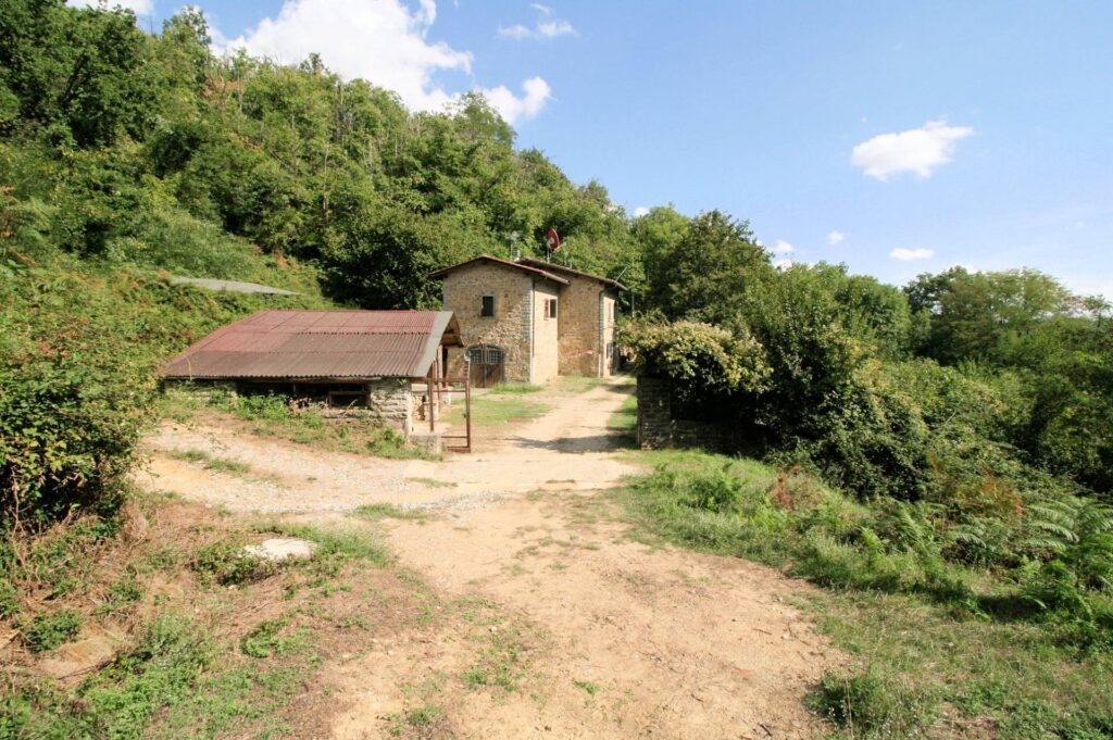 1380-"La casa nel bosco" antico casolare ristrutturato-Pistoia-2 Agenzia Immobiliare ASIP