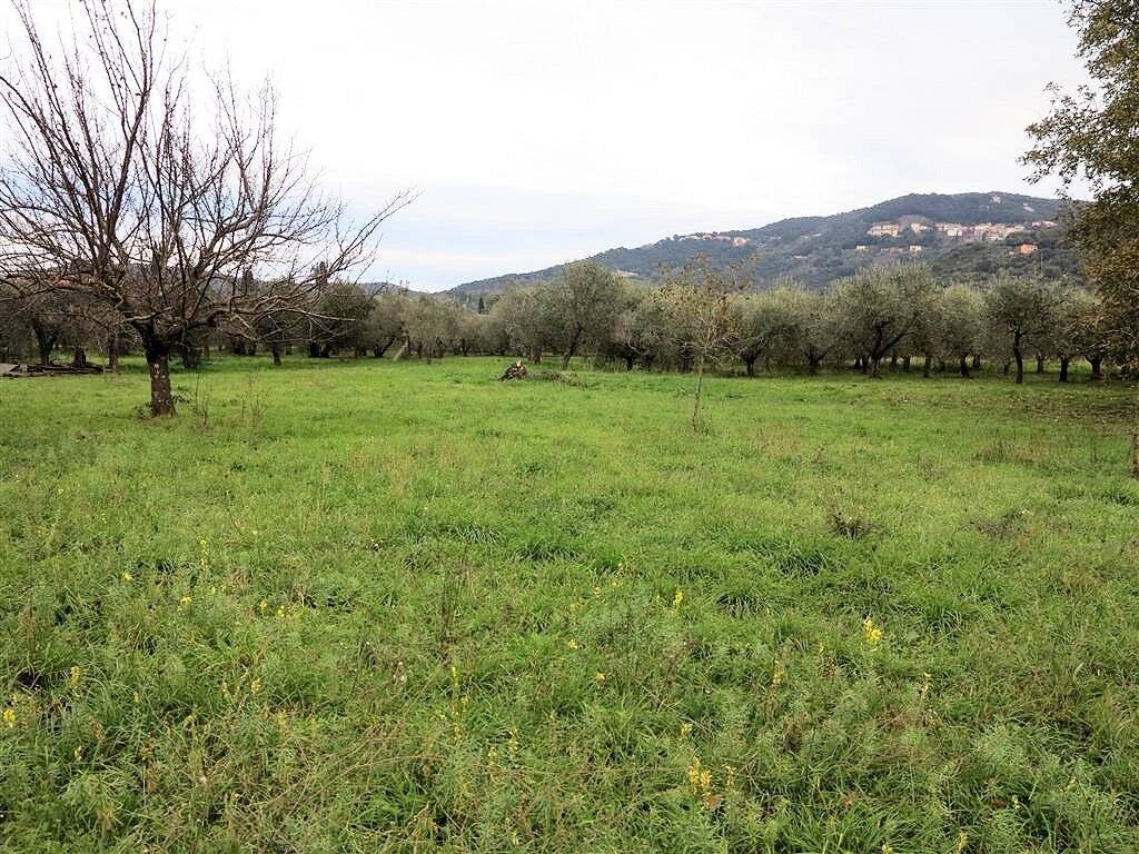 1193-Annesso agricolo da ristrutturare in splendida posizione-Gavorrano-3 Agenzia Immobiliare ASIP