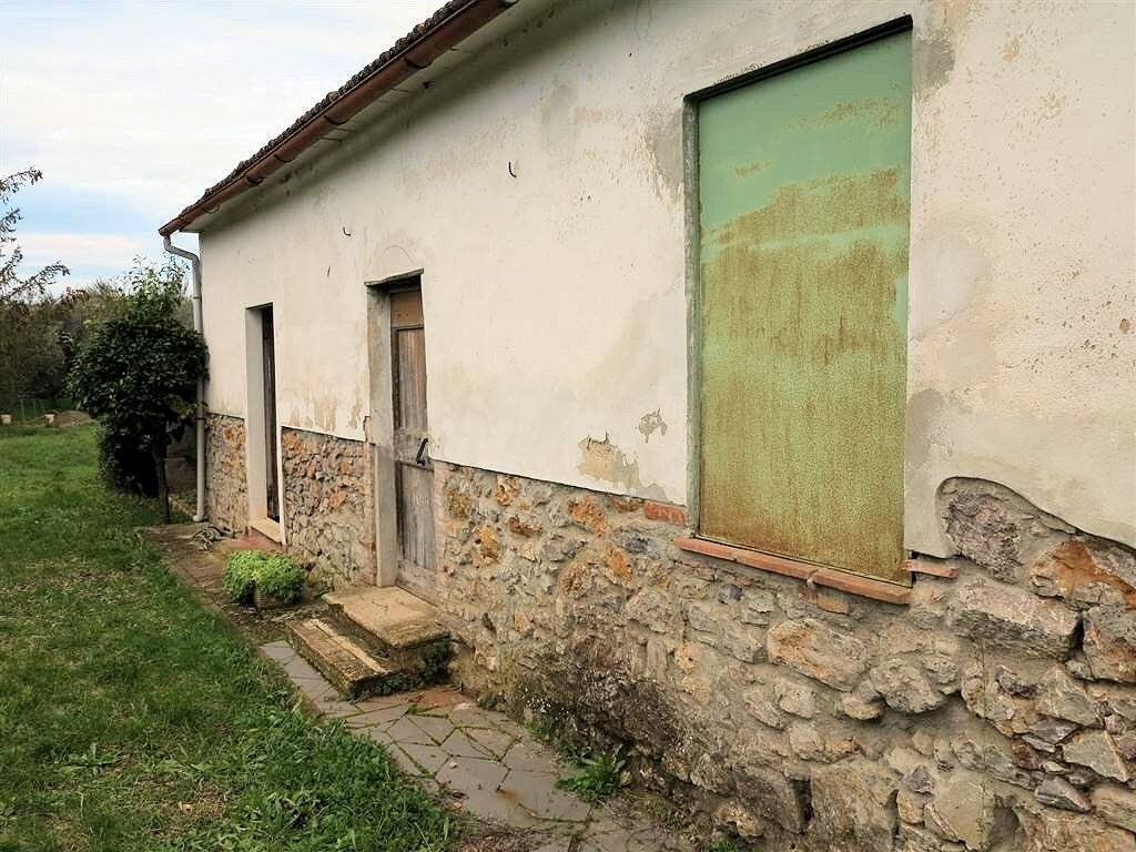 1193-Annesso agricolo da ristrutturare in splendida posizione-Gavorrano-5 Agenzia Immobiliare ASIP