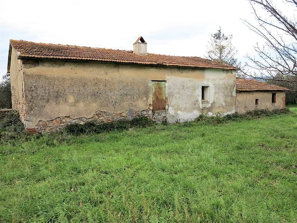 1193-Annesso agricolo da ristrutturare in splendida posizione-Gavorrano-4 Agenzia Immobiliare ASIP