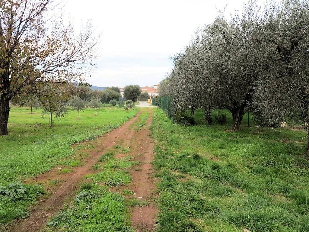 1193-Annesso agricolo da ristrutturare in splendida posizione-Gavorrano-8 Agenzia Immobiliare ASIP