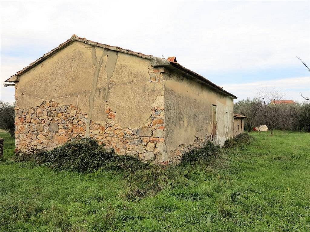 1193-Annesso agricolo da ristrutturare in splendida posizione-Gavorrano-11 Agenzia Immobiliare ASIP