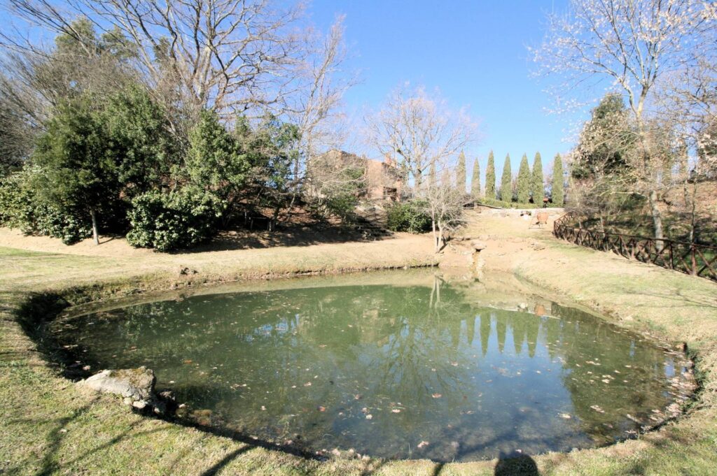 1408-Rustico in stile Toscano con ampio terreno piscina laghetto e vista panoramica-Pomarance-3 Agenzia Immobiliare ASIP
