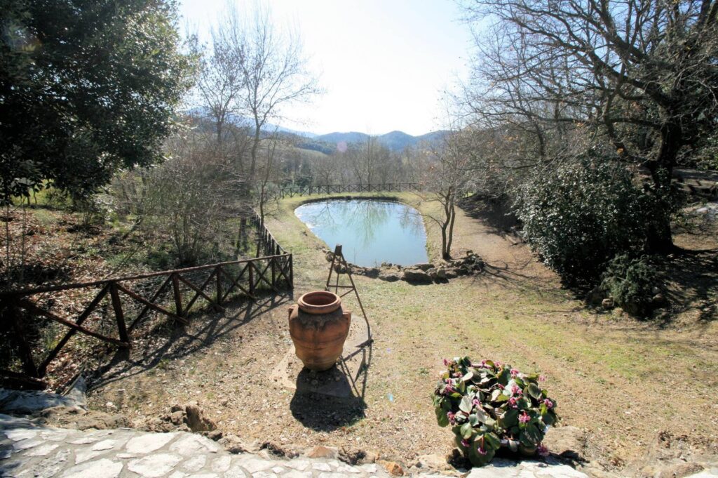 1408-Rustico in stile Toscano con ampio terreno piscina laghetto e vista panoramica-Pomarance-7 Agenzia Immobiliare ASIP