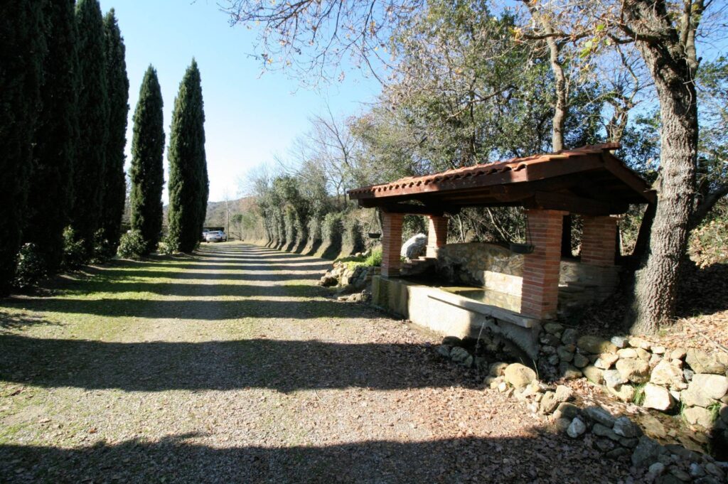 1408-Rustico in stile Toscano con ampio terreno piscina laghetto e vista panoramica-Pomarance-11 Agenzia Immobiliare ASIP