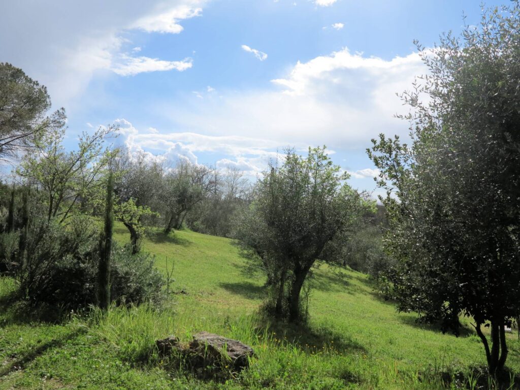 1417-Bel casale ristrutturato in posizione panoramica con ampio terreno-Civitella Paganico-2 Agenzia Immobiliare ASIP