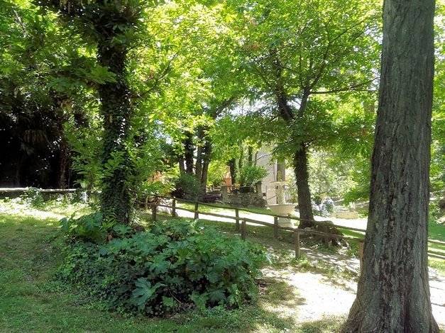 1420-Agriturismo in antico borgo ristrutturato con parco e piscina-Roccastrada-7 Agenzia Immobiliare ASIP