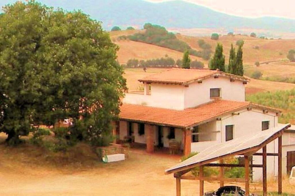 1434-Azienda agricola in posizione collinare con vista mare-Magliano in Toscana-1 Agenzia Immobiliare ASIP