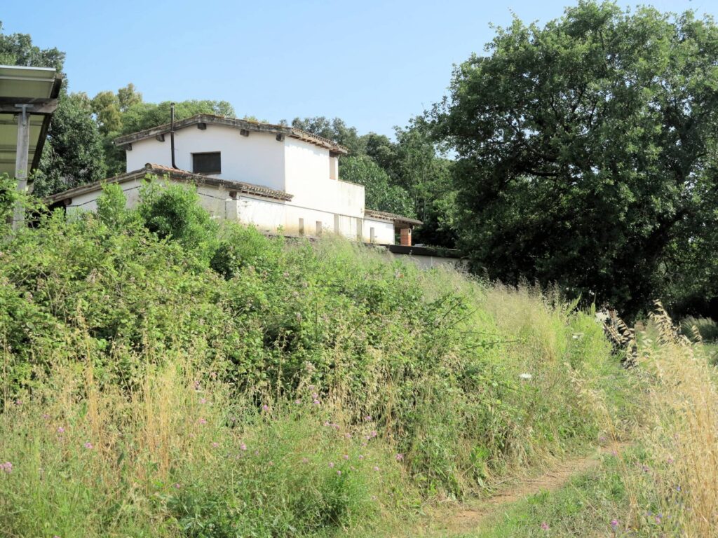 1434-Azienda agricola in posizione collinare con vista mare-Magliano in Toscana-15 Agenzia Immobiliare ASIP