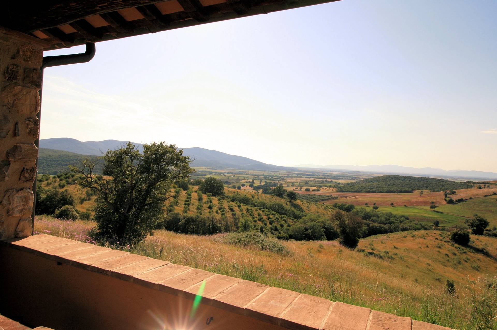 1443-Azienda agricola con vigneti in posizione panoramica-Magliano in Toscana-1 Agenzia Immobiliare ASIP