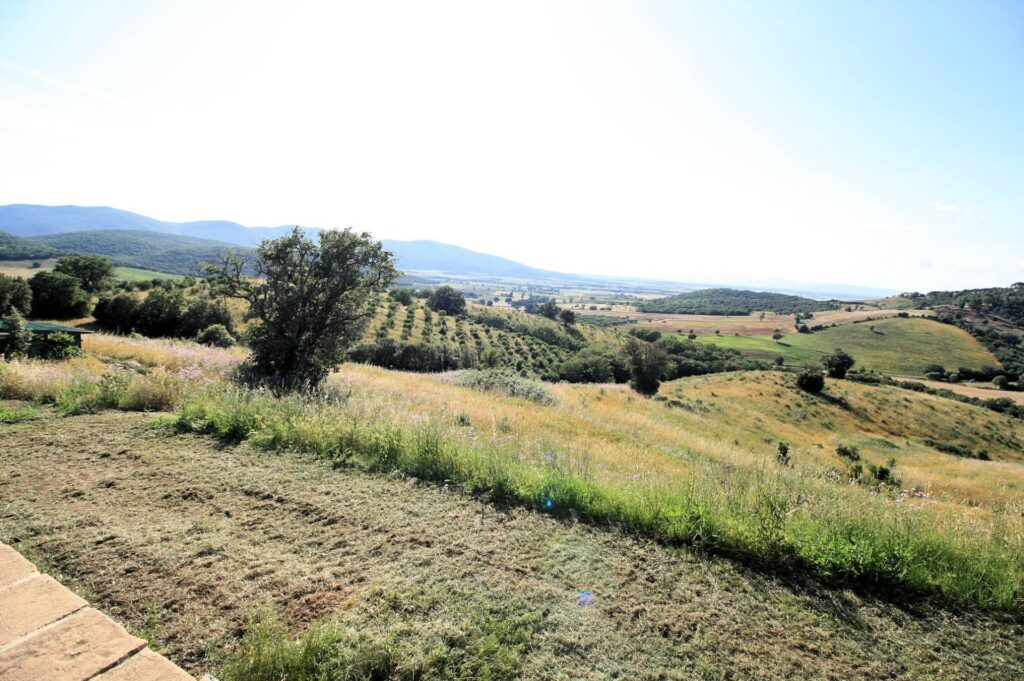 1443-Azienda agricola con vigneti in posizione panoramica-Magliano in Toscana-8 Agenzia Immobiliare ASIP