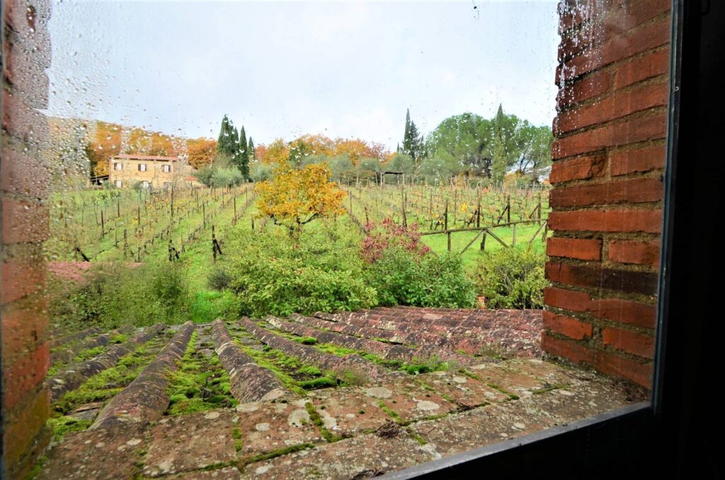 1462-Casale in stile Toscano di ampia siuperficie con piccolo vigneto-Bucine-5 Agenzia Immobiliare ASIP