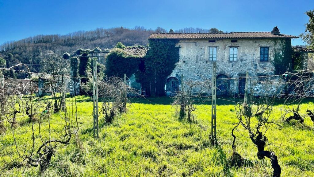 992-Villa in posizione esclusiva da ristrutturare-Lucca-9 Agenzia Immobiliare ASIP