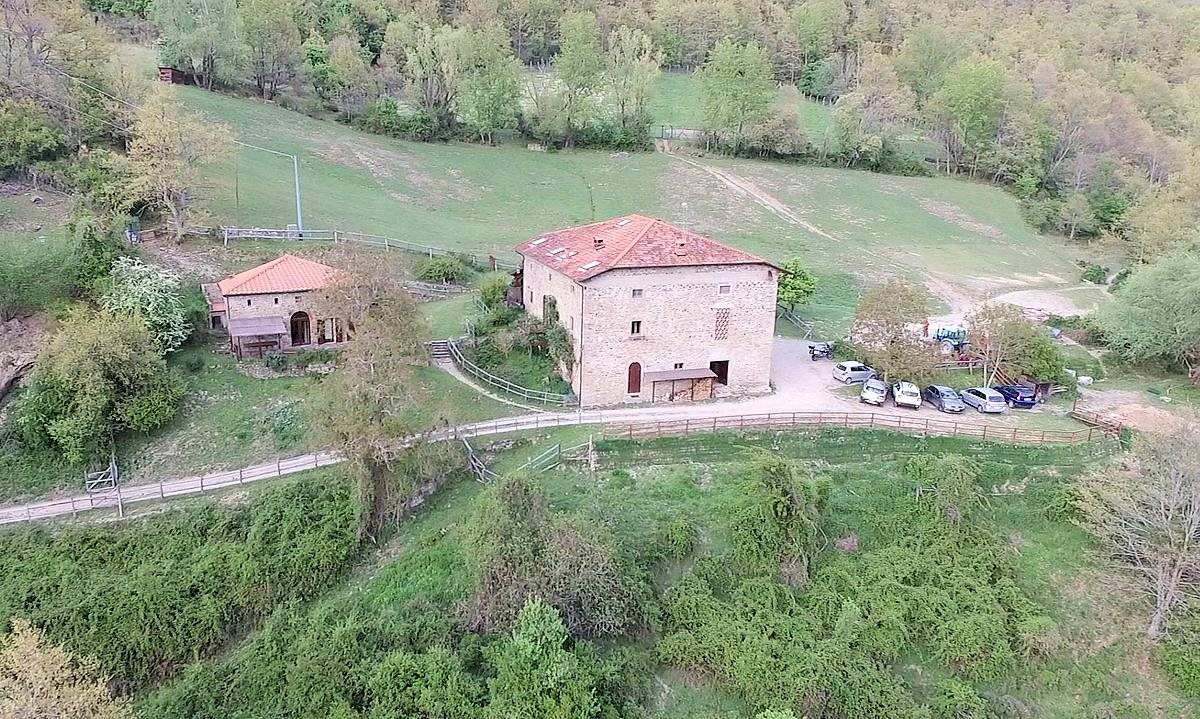 1480-Podere in posizione panoramica con attività agrituristica con ampio terreno-Pratovecchio Stia-3 Agenzia Immobiliare ASIP