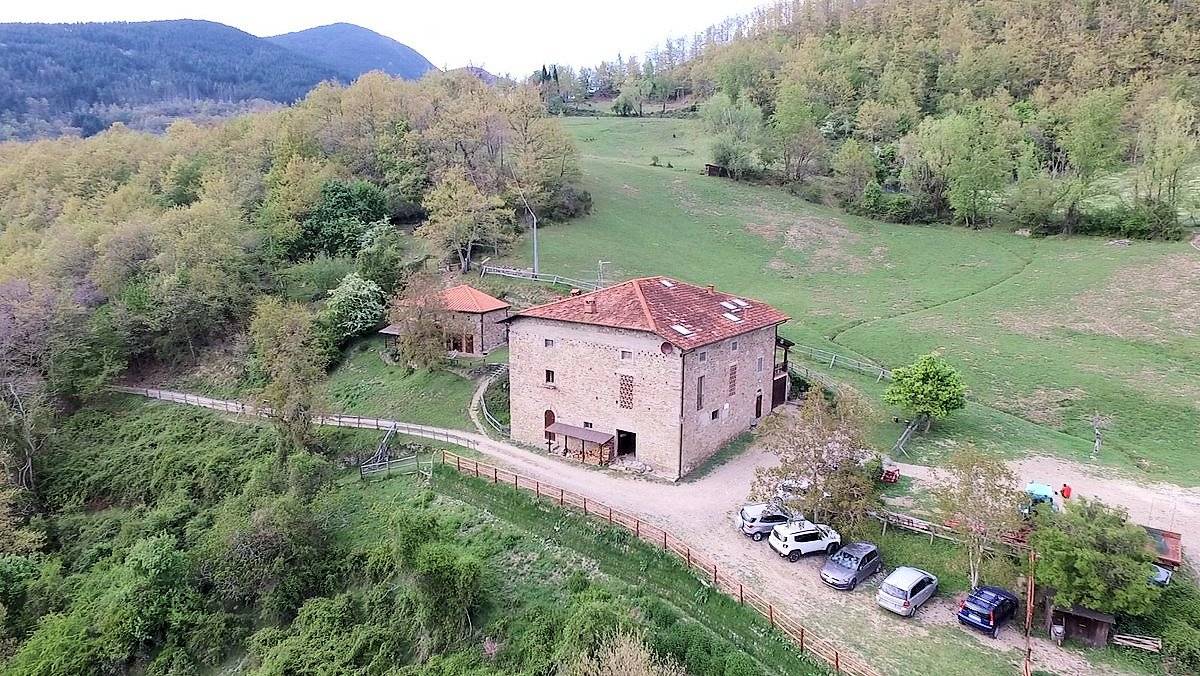 1480-Podere in posizione panoramica con attività agrituristica con ampio terreno-Pratovecchio Stia-1 Agenzia Immobiliare ASIP