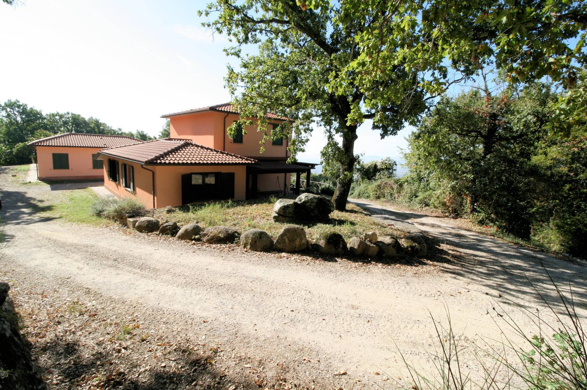 1487-Azienda agricola in posizione collinare e panoramica-Roccastrada-1 Agenzia Immobiliare ASIP