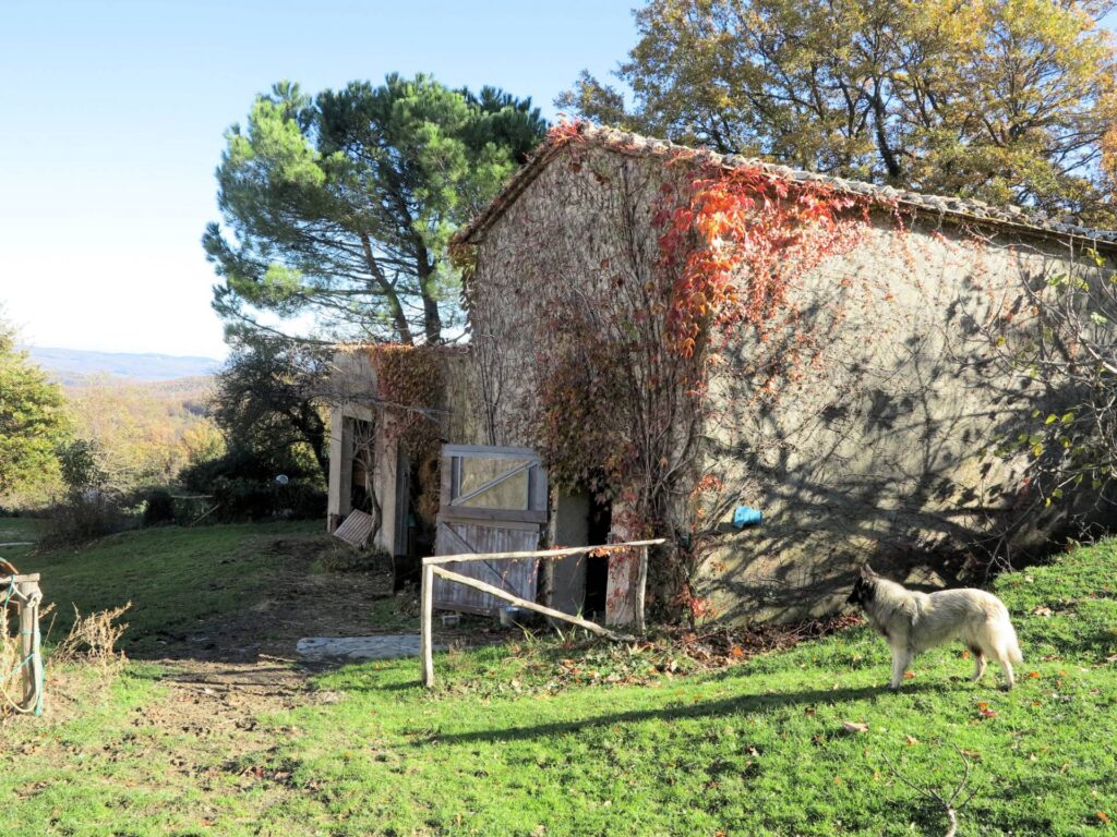 1490-Azienda agricola in posizione panoramica-Montieri-6 Agenzia Immobiliare ASIP
