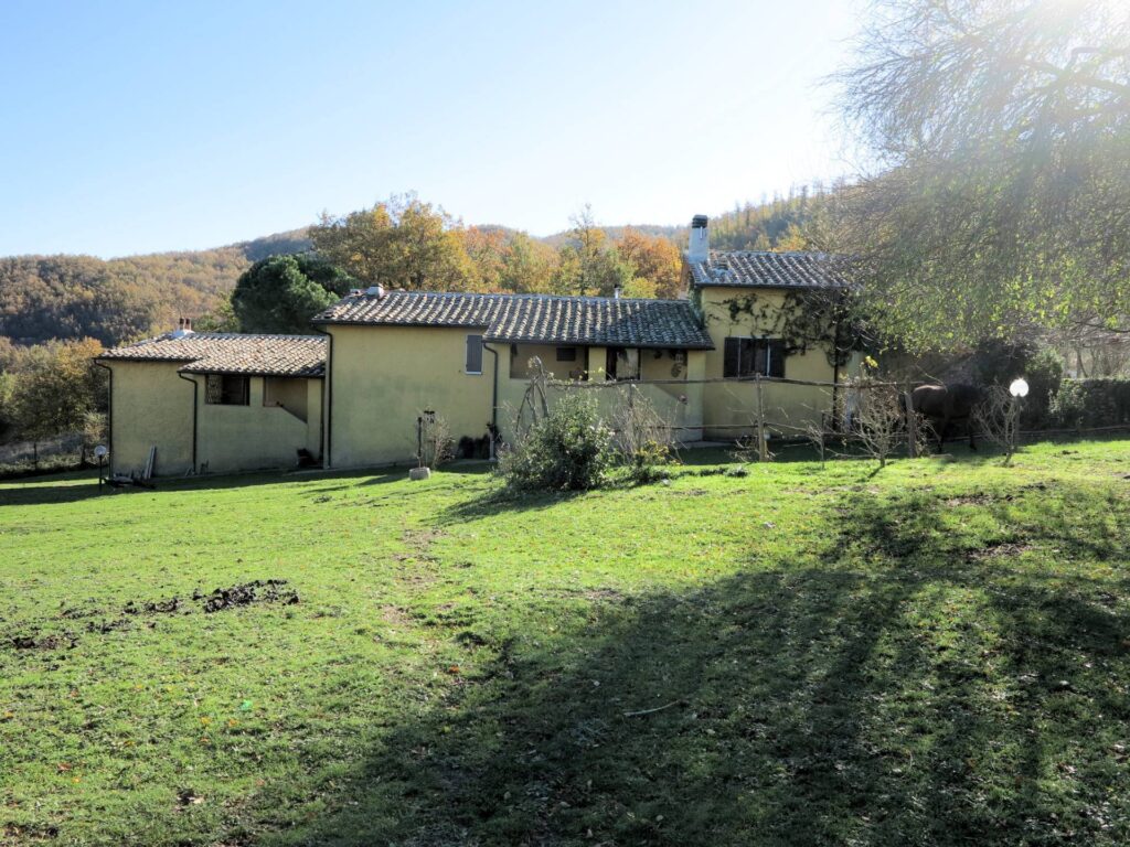 1490-Azienda agricola in posizione panoramica-Montieri-4 Agenzia Immobiliare ASIP