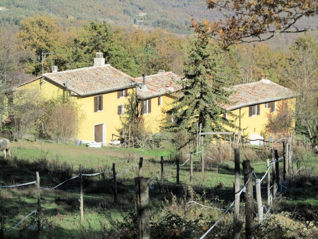1490-Azienda agricola in posizione panoramica-Montieri-2 Agenzia Immobiliare ASIP