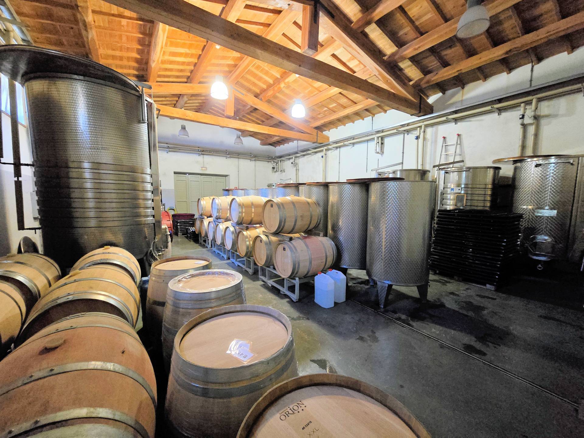1541-Azienda vitivinicola con produzione di vini di alta qualita' in posizione collinare con vista panoramica-Scansano-1 Agenzia Immobiliare ASIP