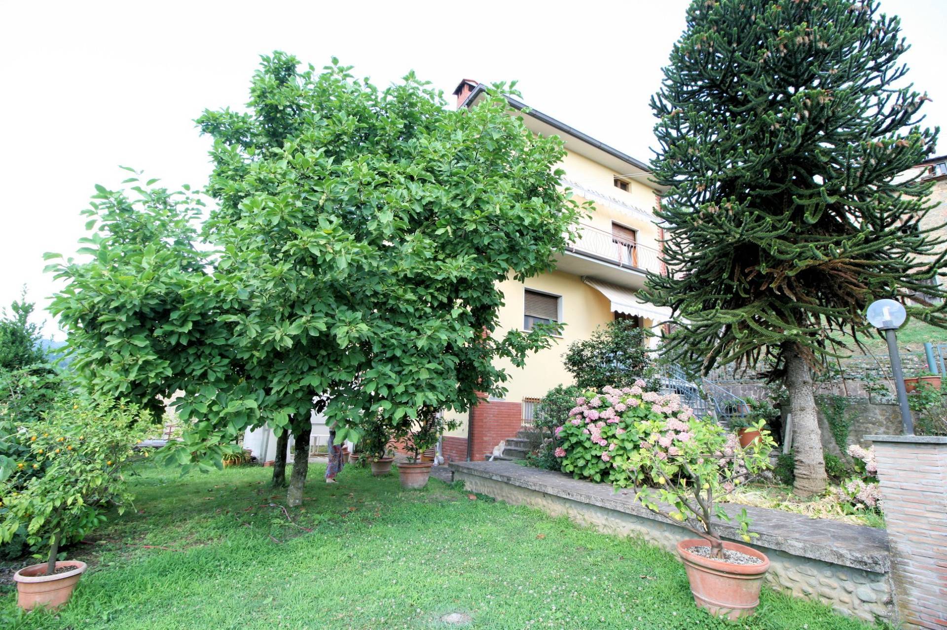 1126-Villetta unifamiliare con ampio giardino e vista panoramica-Pescia-1 Agenzia Immobiliare ASIP