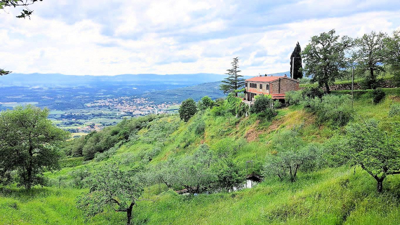 1544-Casale con annessi ampio terreno e vista panoramica-Castiglion Fibocchi-1 Agenzia Immobiliare ASIP