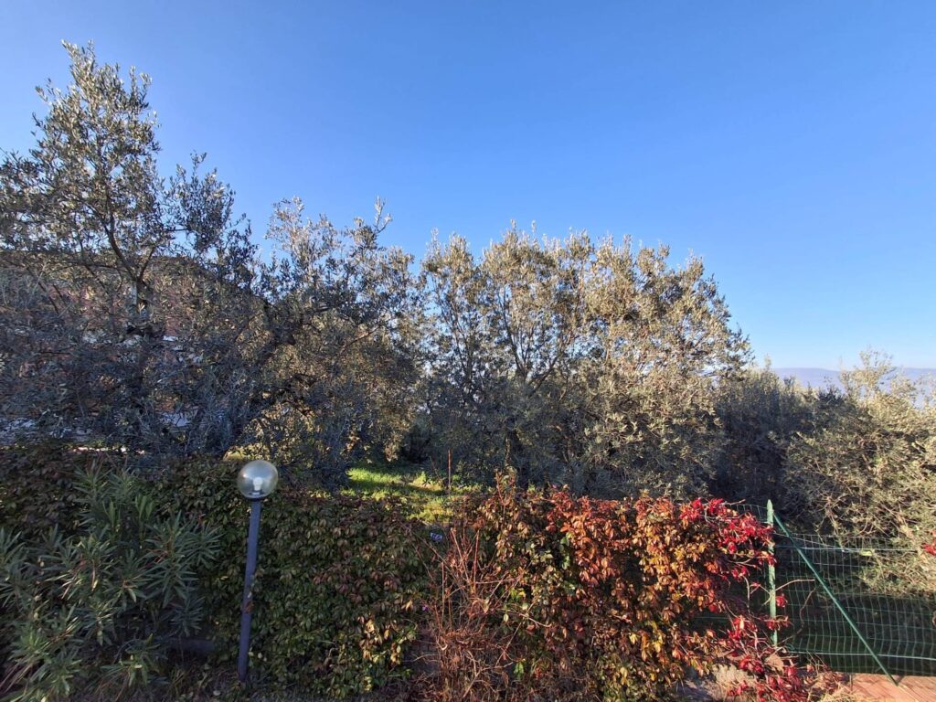 1680-Terratetto completamente ristrutturato libero su tre lati con dependance giardino e posti auto a Tizzana-Quarrata-14 Agenzia Immobiliare ASIP